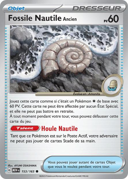 153/165 - Fossile Nautile Ancien - EV3.5 151