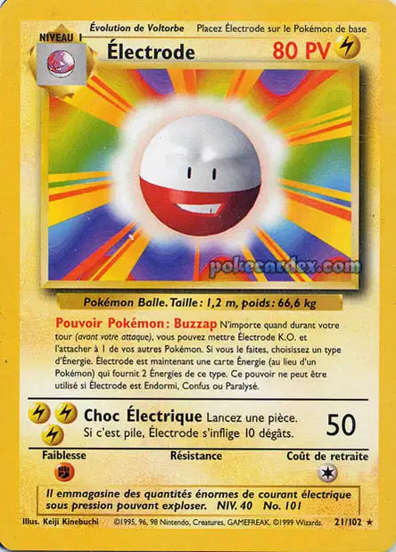 BS21 - Électrode - Set de Base