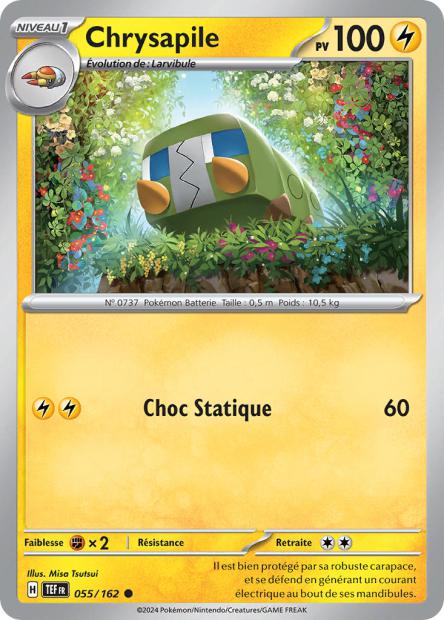 055/162 - Chrysapile - EV5 Forces Temporelles