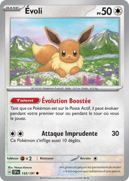 143/191 - Évoli - EV8 Étincelles Déferlantes
