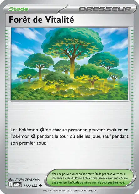 117/132 - Forêt de Vitalité - ME01 Méga-Évolution