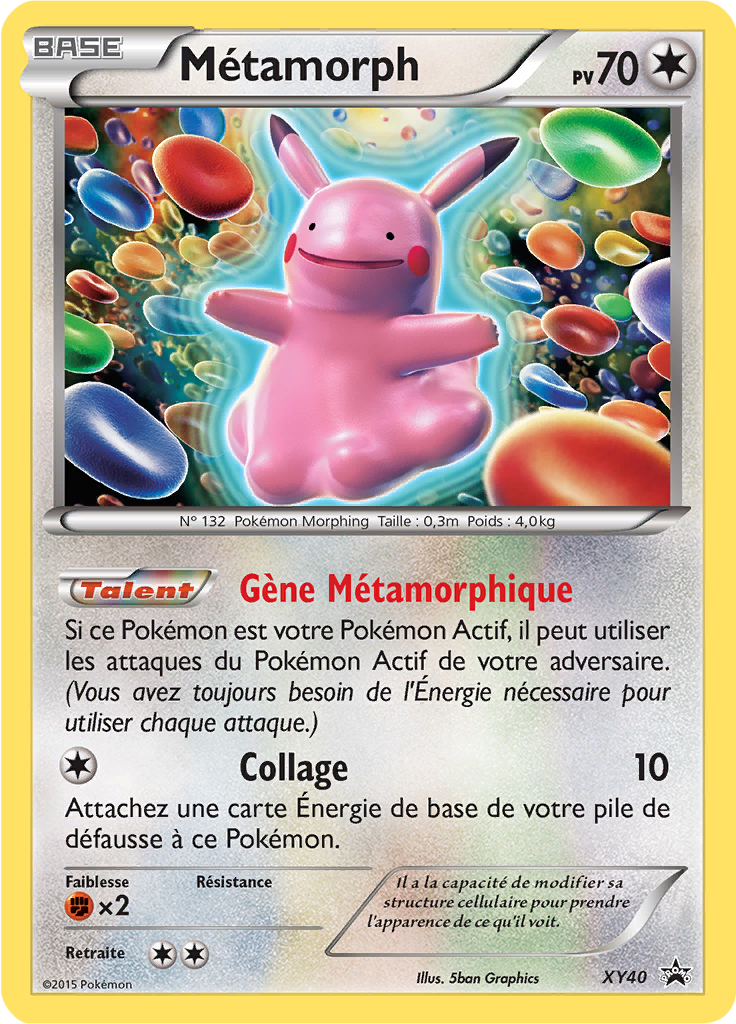 XY40 - Metamorph - XY PROMO