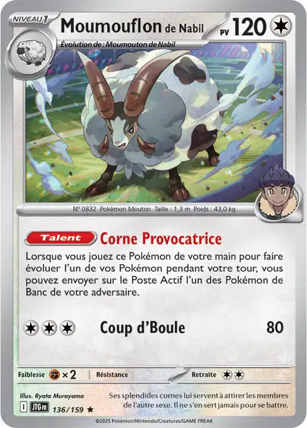 136/159 - Moumouflon de Nabil - EV9 Aventures Ensemble