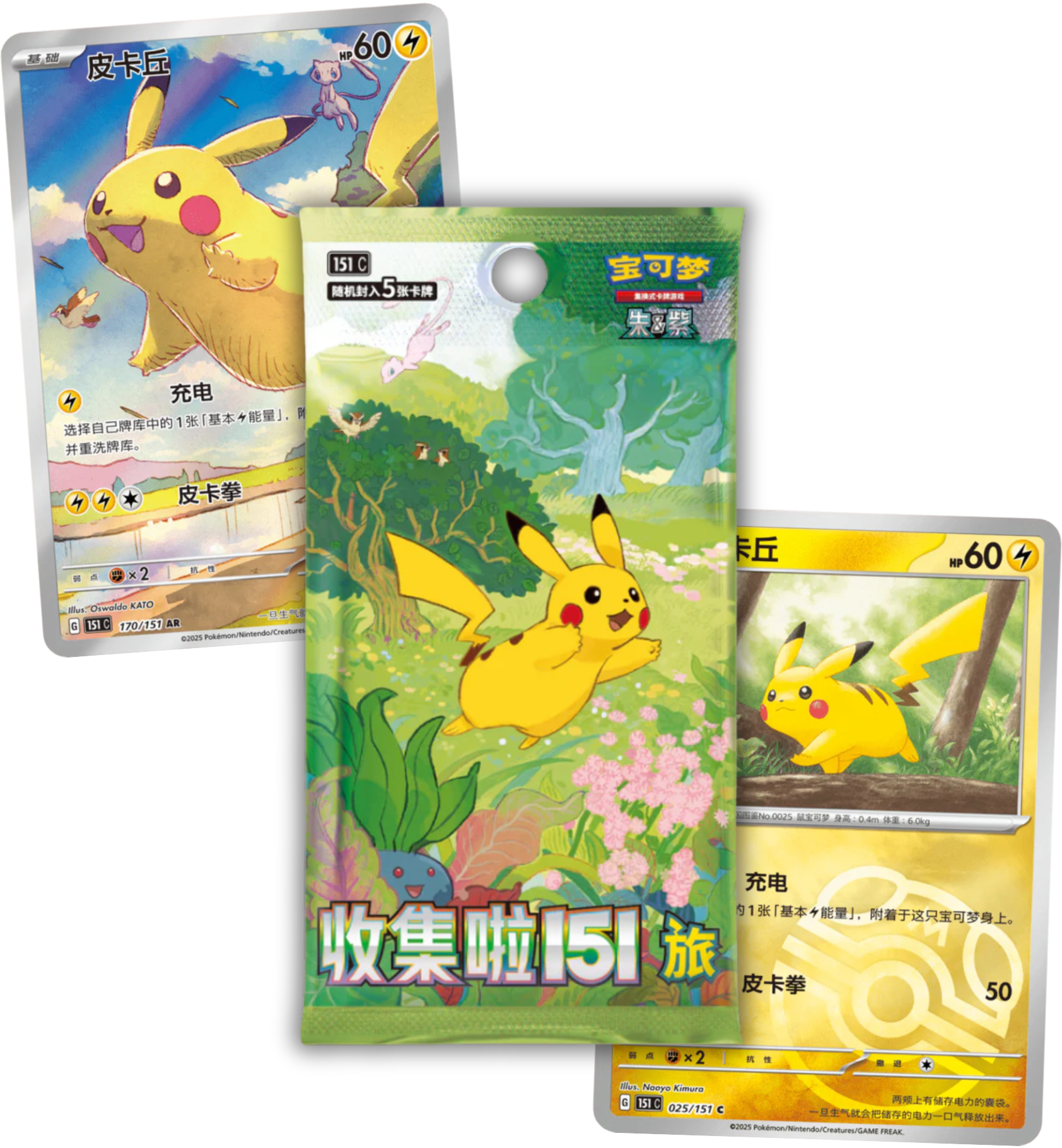 Display 151 Journey Slim - Collect 151 Journey - Chinois Simplifié
