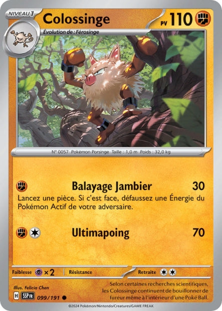 099/191 - Colossinge - EV8 Étincelles Déferlantes