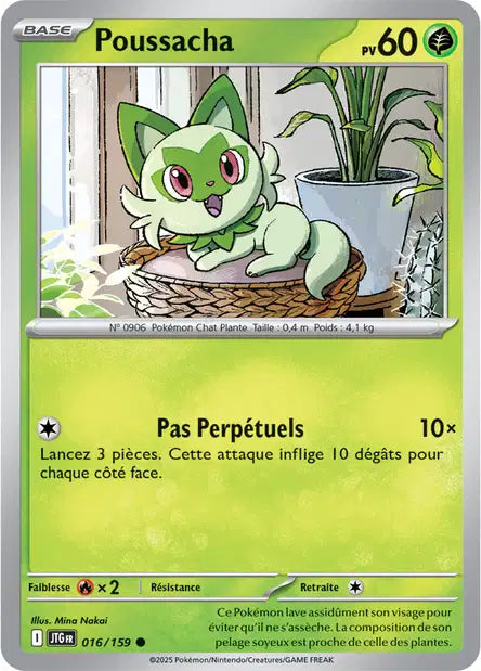 016/159 - Poussacha - EV9 Aventures Ensemble